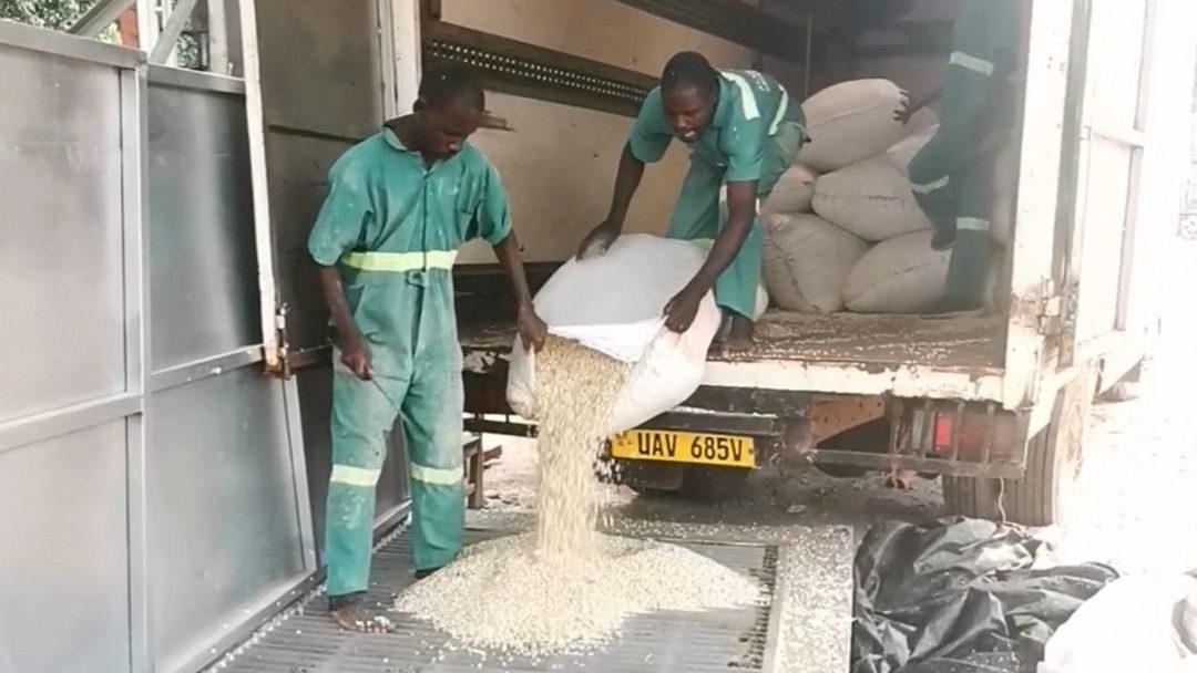 grain discharge point i